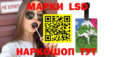 СК Краснознаменск