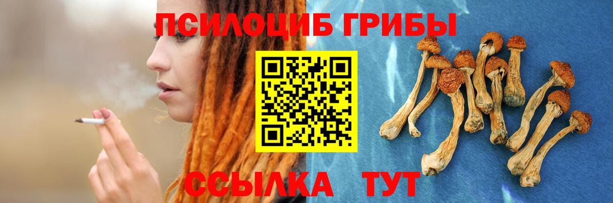 Галлюциногенные грибы Magic Shrooms Кингисепп
